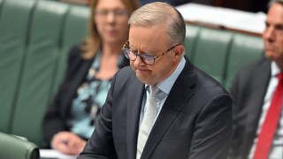 albanese