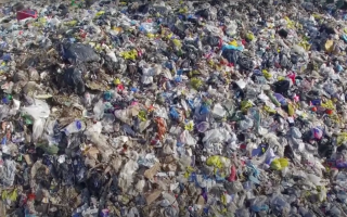 circular economy