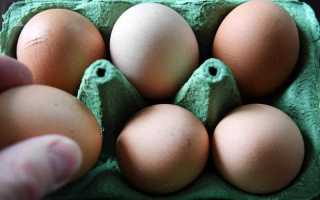 egg limits