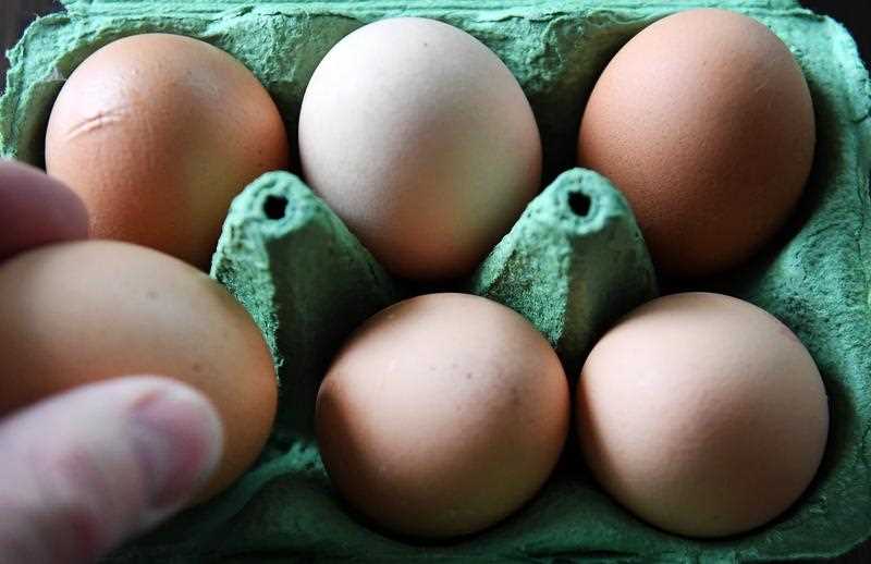 egg limits