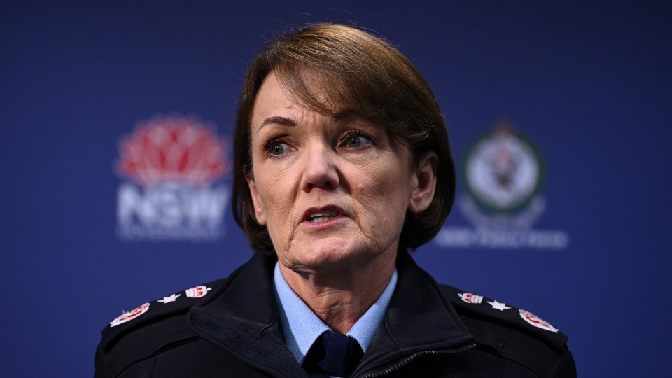 officers assault picton