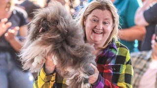 ugliest dog