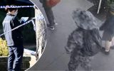 University of Sydney stabbing