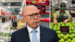 peter dutton supermarkets