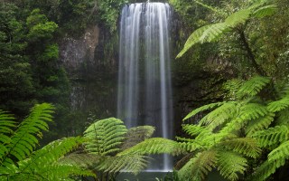 Millaa Millaa Falls