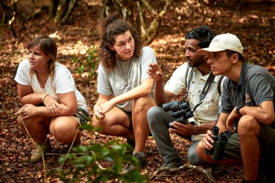 One guided safari tour won't be enough – aim for two.