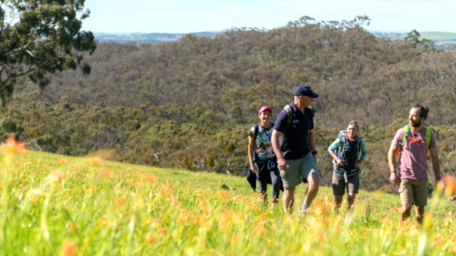 Clare Valley Wine and Wilderness Trail committee member Tim Grigg (in blue cap) walks the trail with friends.