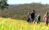 clare valley wine trail