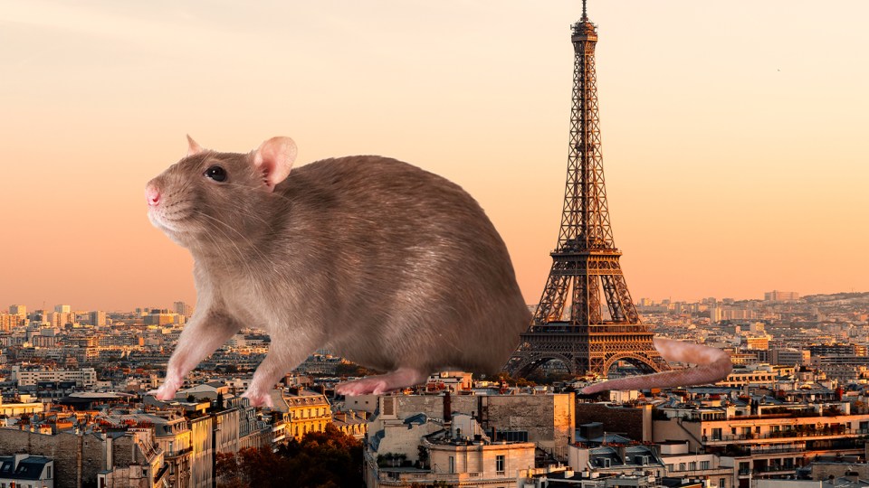 paris