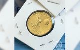 Bluey coins