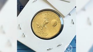 Bluey coins