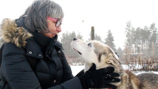 solo travel lee mylne