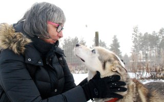 solo travel lee mylne