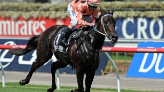 Black Caviar