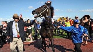 black caviar