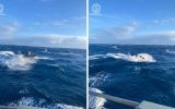 yacht rescue