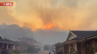 bushfire