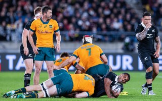 diplomat bledisloe wellington