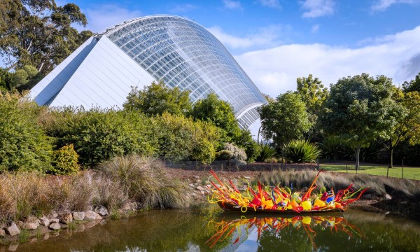 Dale Chihuly's 'Fiori Boat', in the Adelaide Botanic Garden. 
