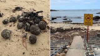 tar balls