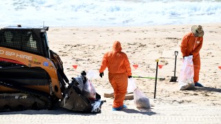 Sydney beaches tar balls reopen