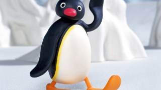 pingu
