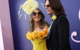 liz hurley