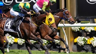 Knight's Choice Melbourne Cup