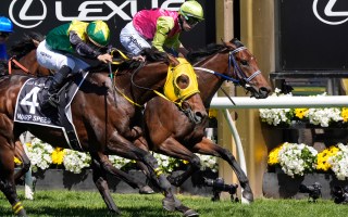 Knight's Choice Melbourne Cup