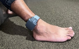 Ankle monitoring