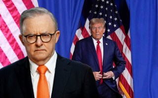Albanese Trump