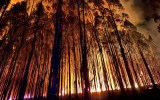 kadnook fire