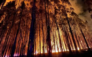 kadnook fire
