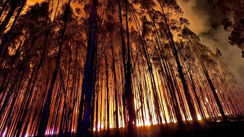 kadnook fire