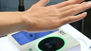 palm scan payment