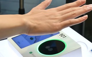 palm scan payment