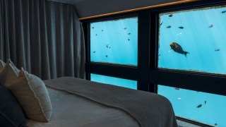 reef