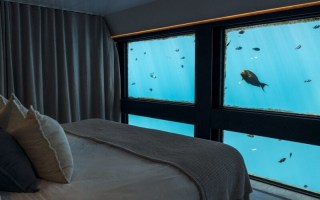 reef