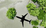 Plane