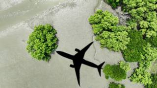 Plane