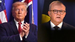 trump albanese