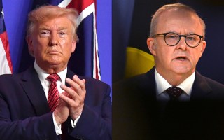 trump albanese