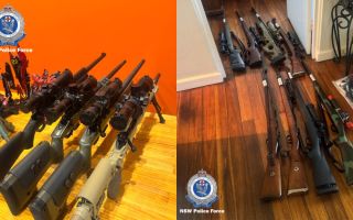 denistone east guns