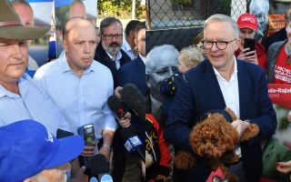 Labor peter dutton anthony albanese