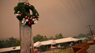 bushfire