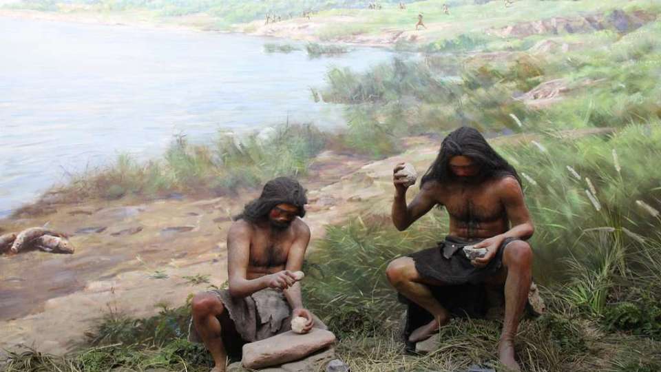 paleo