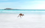 lucky bay white sand