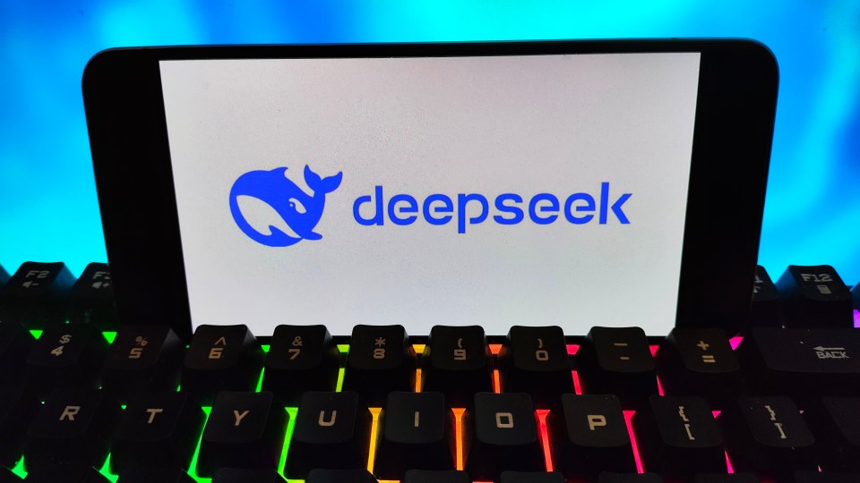 deepseek