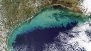 gulf mexico america