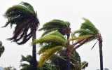 cyclone watch